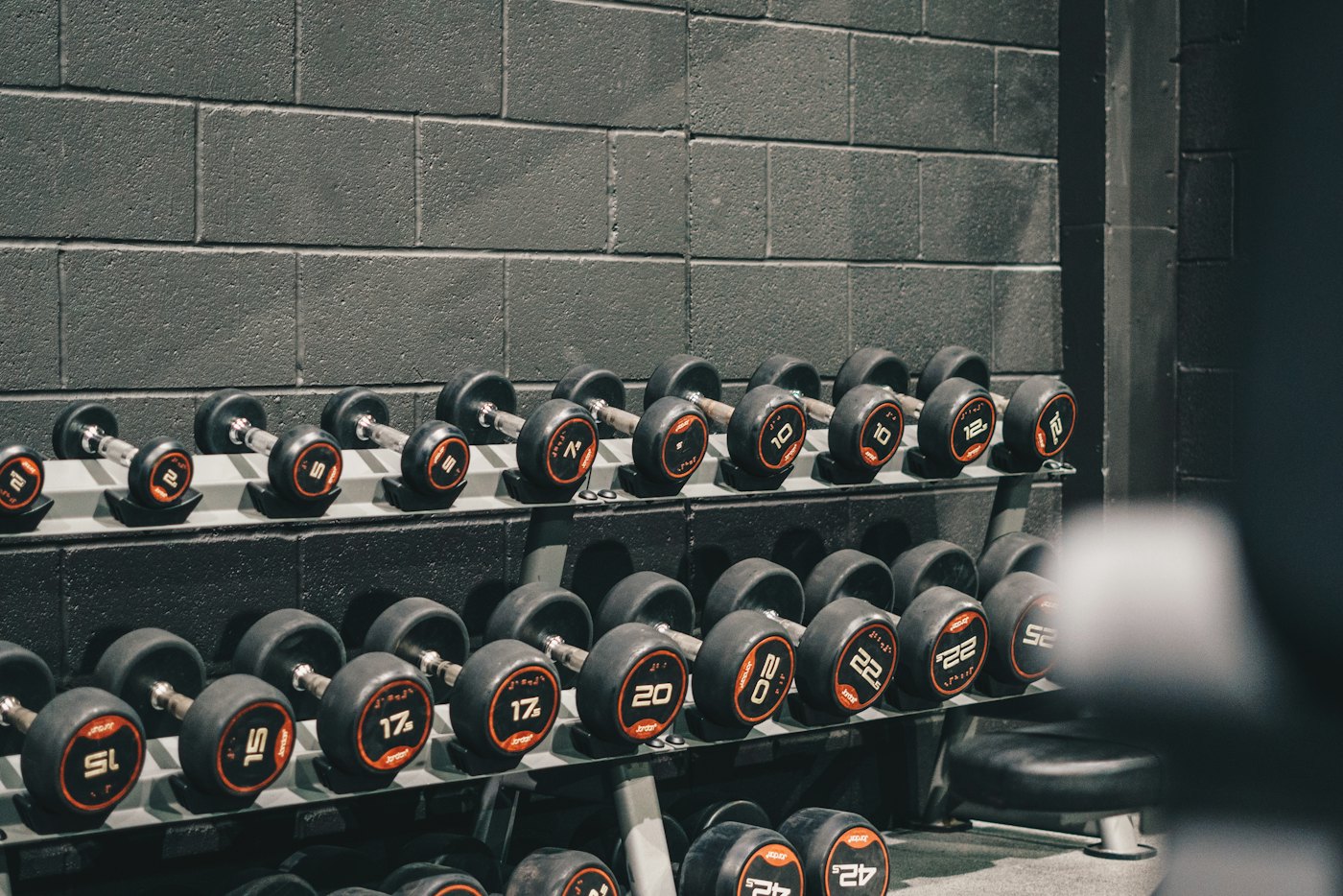 Two tiers of rubber dumbbells in numbered pairs on a steel rack against a grey block wall.